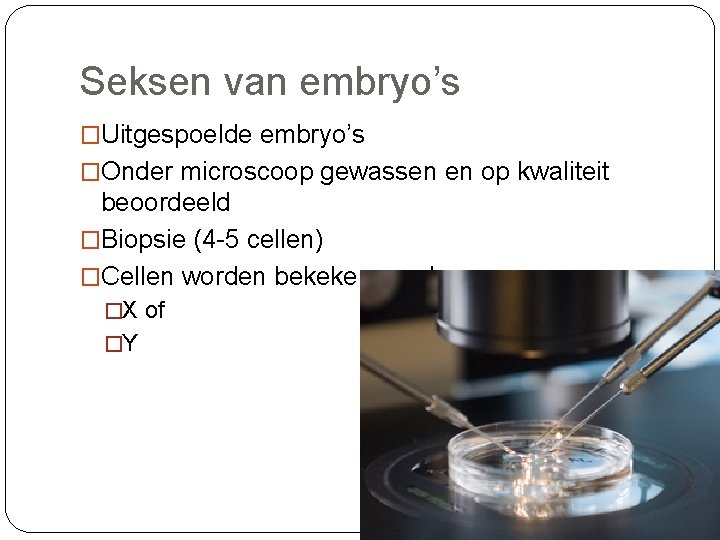 Seksen van embryo’s �Uitgespoelde embryo’s �Onder microscoop gewassen en op kwaliteit beoordeeld �Biopsie (4