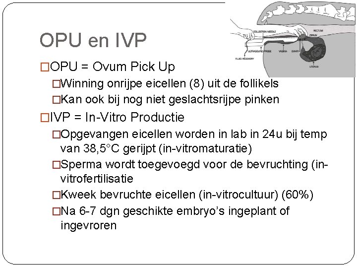 OPU en IVP �OPU = Ovum Pick Up �Winning onrijpe eicellen (8) uit de