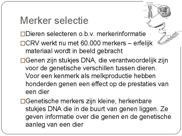 Merker selectie �Dieren selecteren o. b. v. merkerinformatie �CRV werkt nu met 60. 000