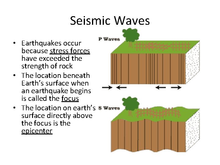 Seismic Waves • Earthquakes occur because stress forces have exceeded the strength of rock