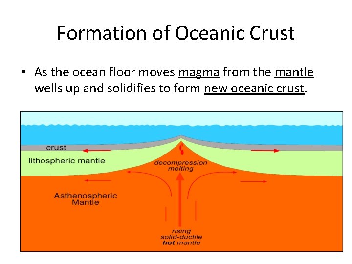 Formation of Oceanic Crust • As the ocean floor moves magma from the mantle