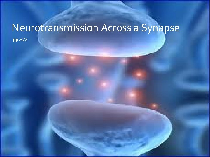 Neurotransmission Across a Synapse pp. 323 