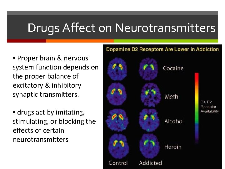 Drugs Affect on Neurotransmitters • Proper brain & nervous system function depends on the