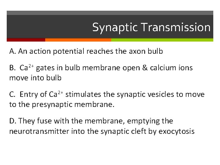Synaptic Transmission A. An action potential reaches the axon bulb B. Ca 2+ gates