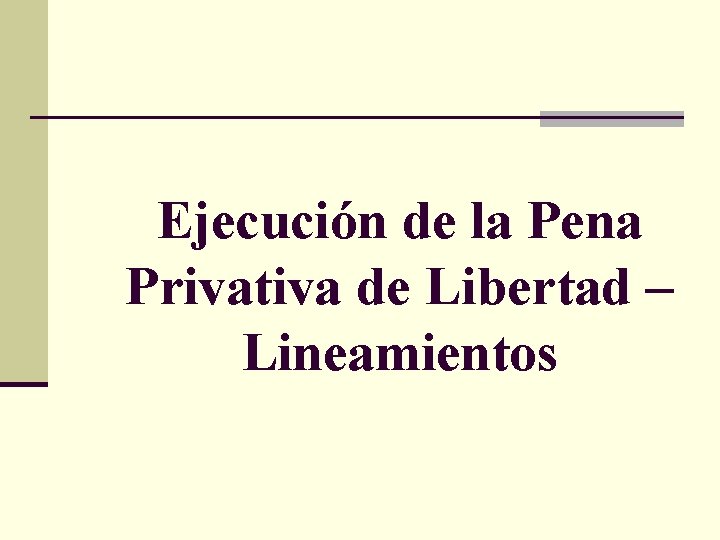 Ejecución de la Pena Privativa de Libertad – Lineamientos 