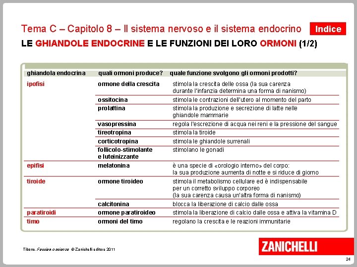 Tema C – Capitolo 8 – Il sistema nervoso e il sistema endocrino Indice