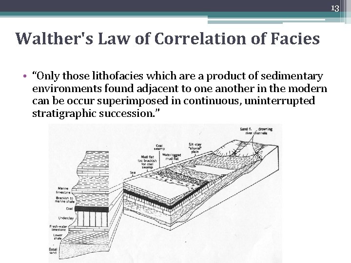 13 Walther's Law of Correlation of Facies • “Only those lithofacies which are a 13 Walther's Law of Correlation of Facies • “Only those lithofacies which are a