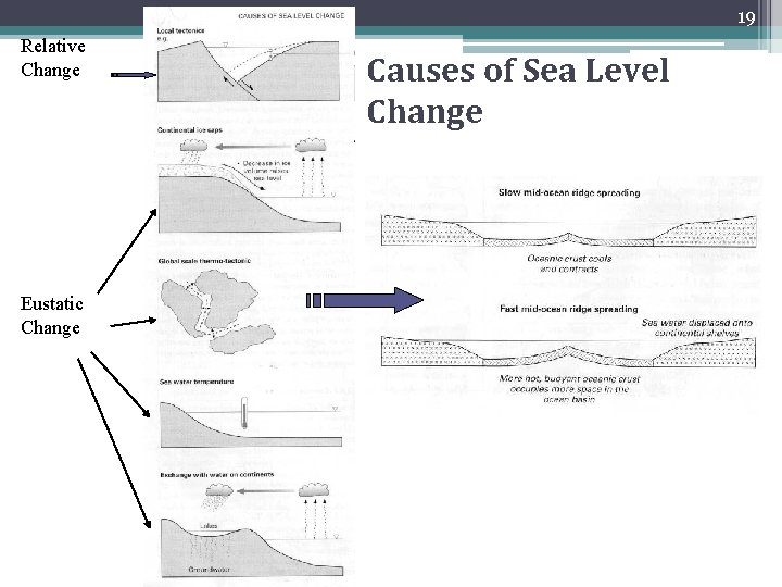19 Relative Change Eustatic Change Causes of Sea Level Change 19 Relative Change Eustatic Change Causes of Sea Level Change