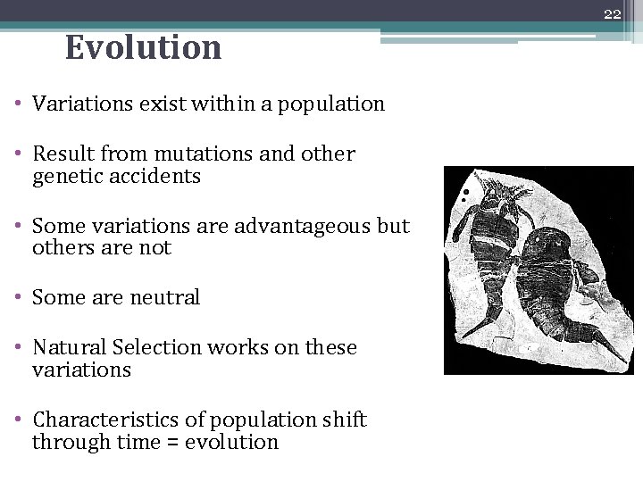 22 Evolution • Variations exist within a population • Result from mutations and other 22 Evolution • Variations exist within a population • Result from mutations and other