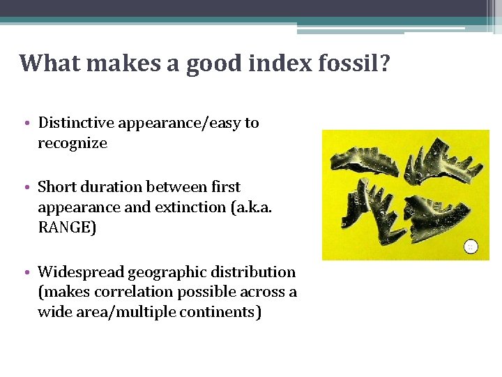 What makes a good index fossil? • Distinctive appearance/easy to recognize • Short duration What makes a good index fossil? • Distinctive appearance/easy to recognize • Short duration
