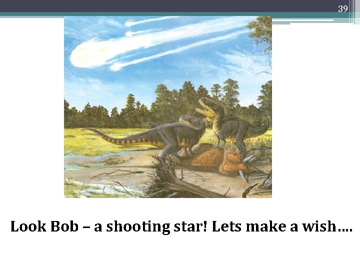 39 Look Bob – a shooting star! Lets make a wish…. 39 Look Bob – a shooting star! Lets make a wish….