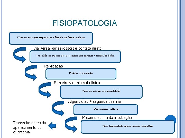 FISIOPATOLOGIA Vírus nas secreções respiratórias e líquido das lesões cutâneas Via aérea por aerossóis