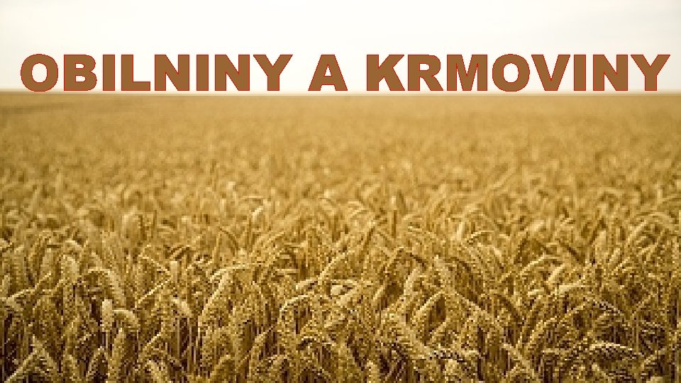 OBILNINY A KRMOVINY 