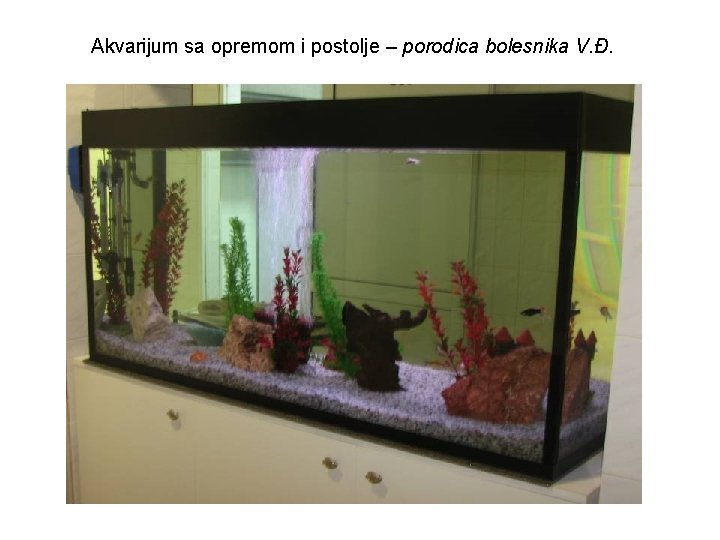 Akvarijum sa opremom i postolje – porodica bolesnika V. Đ. 