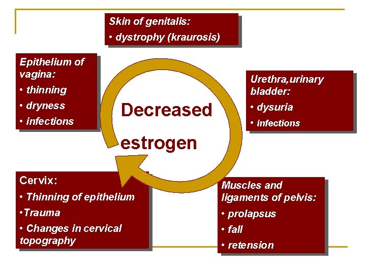 Skin of genitalis: • dystrophy (kraurosis) Epithelium of vagina: Urethra, urinary bladder: • thinning