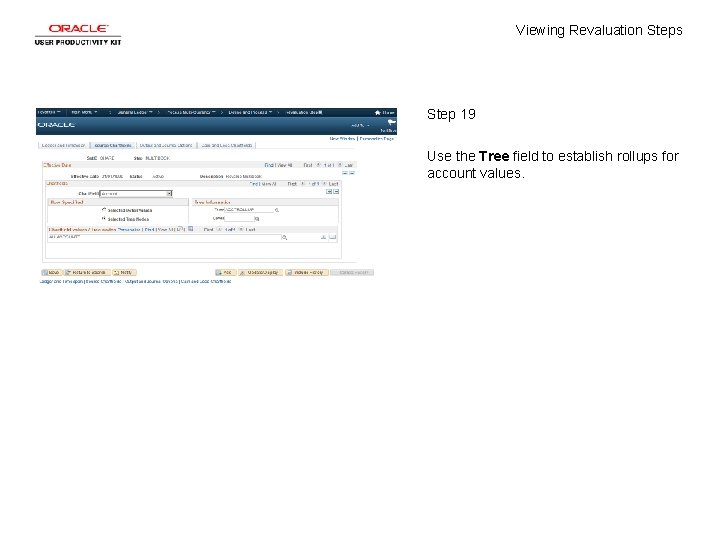 Viewing Revaluation Steps Step 19 Use the Tree field to establish rollups for account