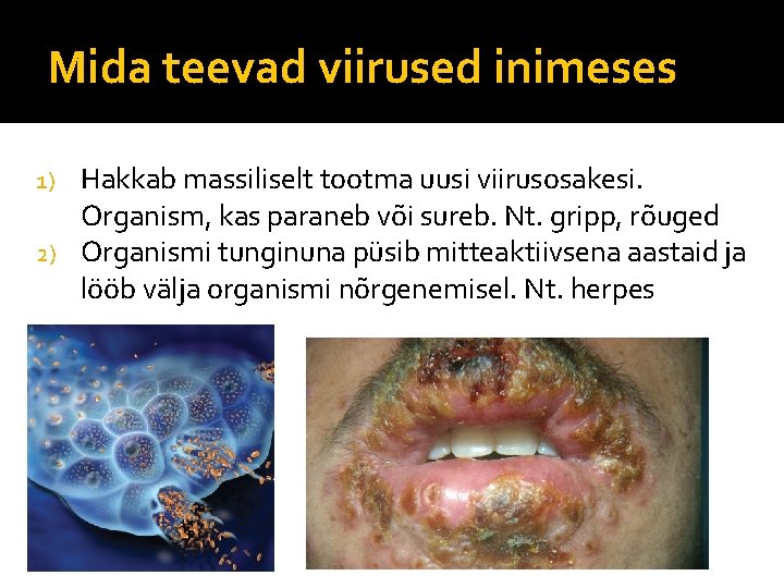 Mida teevad viirused inimeses Hakkab massiliselt tootma uusi viirusosakesi. Organism, kas paraneb või sureb.