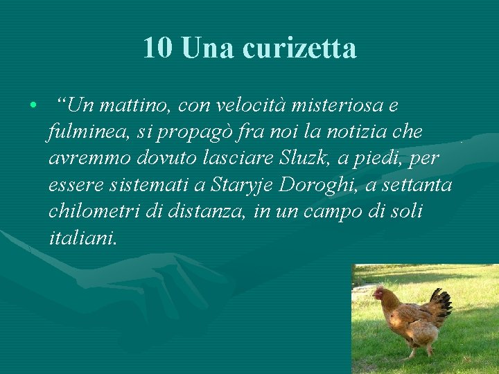 10 Una curizetta • “Un mattino, con velocità misteriosa e fulminea, si propagò fra