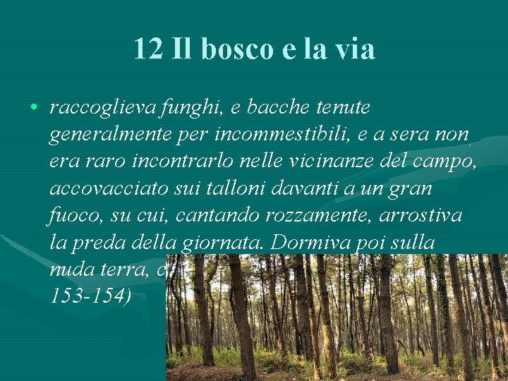 12 Il bosco e la via • raccoglieva funghi, e bacche tenute generalmente per