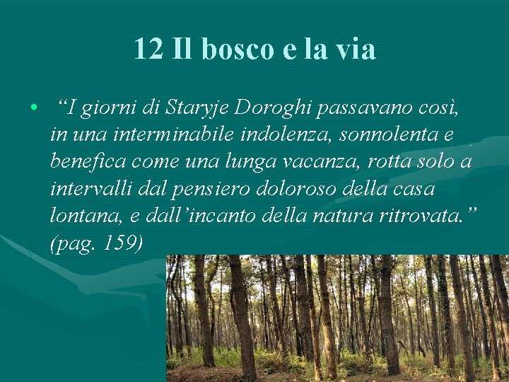 12 Il bosco e la via • “I giorni di Staryje Doroghi passavano così,
