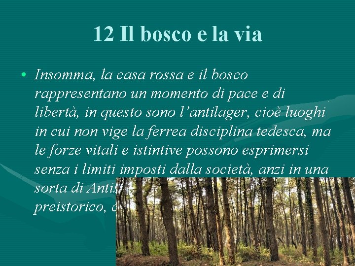12 Il bosco e la via • Insomma, la casa rossa e il bosco