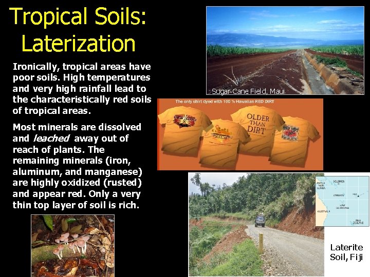Tropical Soils: Laterization Ironically, tropical areas have poor soils. High temperatures and very high