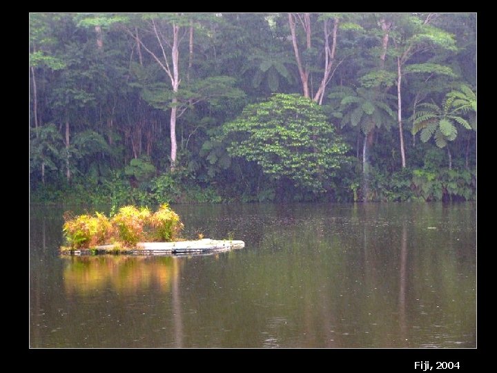 Fiji, 2004 