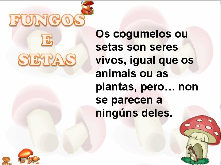 Os cogumelos ou setas son seres vivos, igual que os animais ou as plantas,