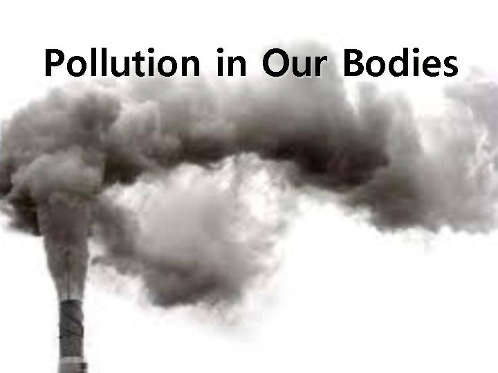 Pollution in Our Bodies 