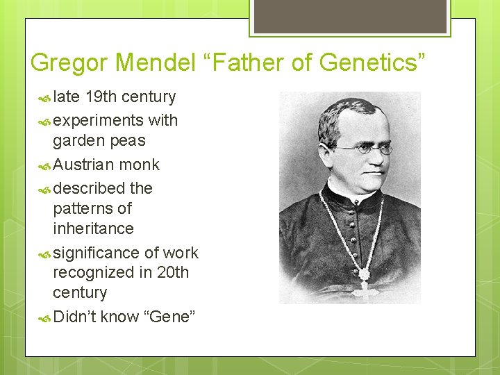 Gregor Mendel “Father of Genetics” late 19 th century experiments with garden peas Austrian