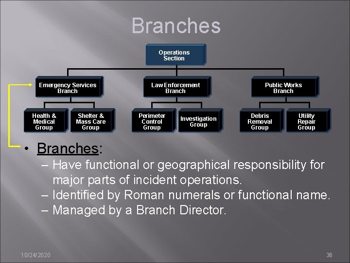 Branches Operations Section Emergency Services Branch Health & Medical Group Shelter & Mass Care