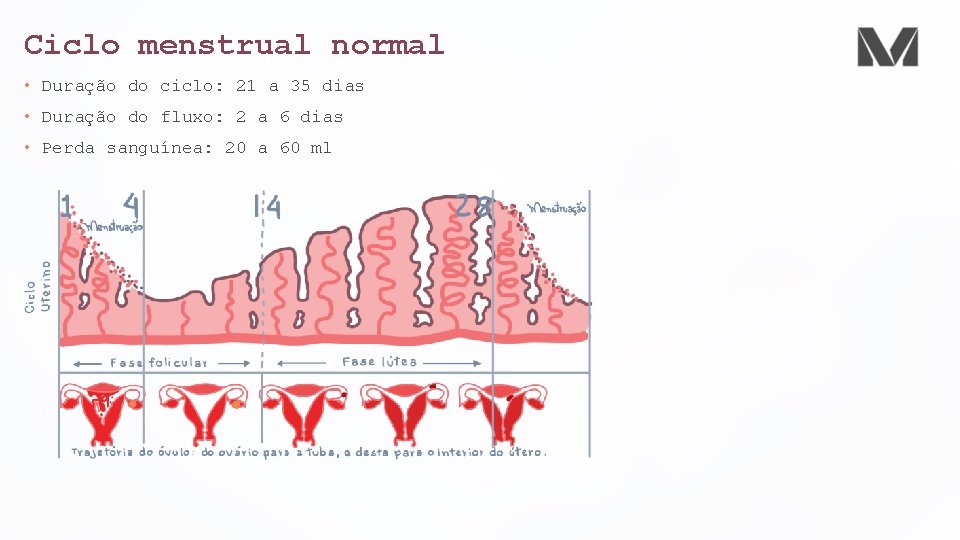 Ciclo menstrual normal • Duração do ciclo: 21 a 35 dias • Duração do