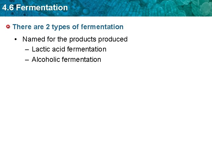 4. 6 Fermentation There are 2 types of fermentation • Named for the products