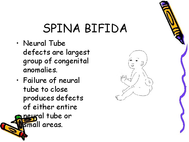 SPINA BIFIDA • Neural Tube defects are largest group of congenital anomalies. • Failure