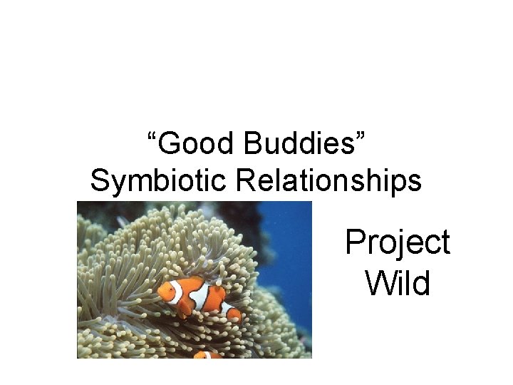 “Good Buddies” Symbiotic Relationships Project Wild 