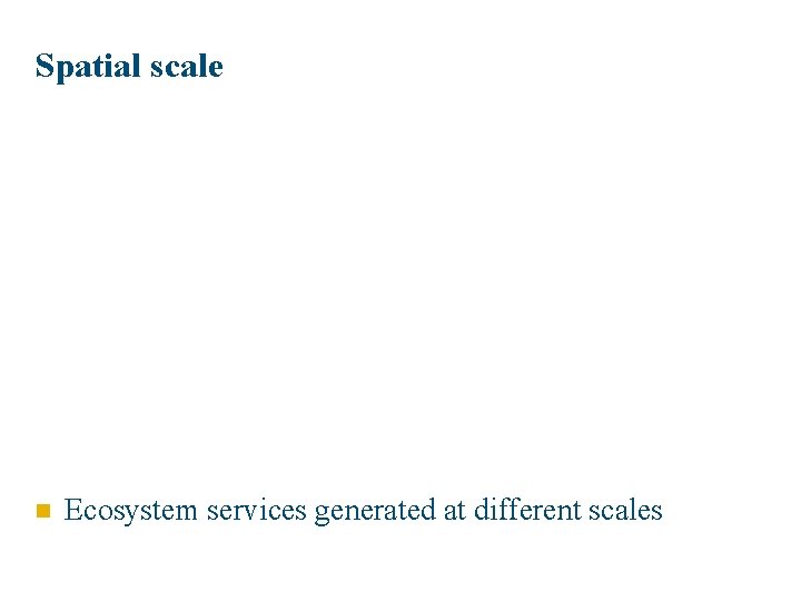 Spatial scale n Ecosystem services generated at different scales 