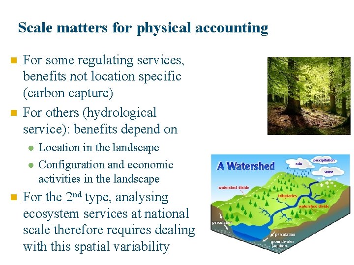 Scale matters for physical accounting n n For some regulating services, benefits not location