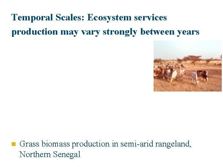 Temporal Scales: Ecosystem services production may vary strongly between years n Grass biomass production