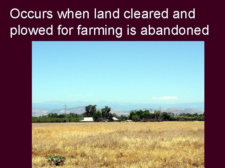 Occurs when land cleared and plowed for farming is abandoned 