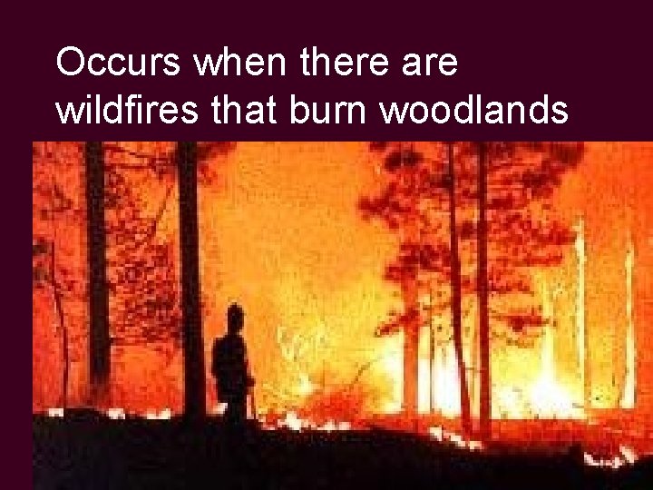 Occurs when there are wildfires that burn woodlands 