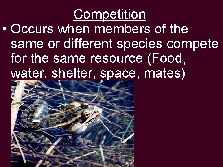 Competition • Occurs when members of the same or different species compete for the