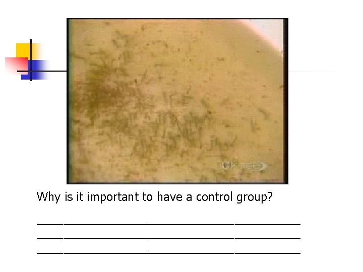 Why is it important to have a control group? ________________________________________ 