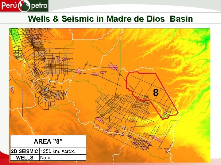 Wells & Seismic in Madre de Dios Basin 8 