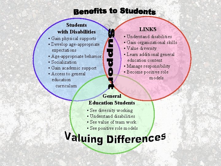 Students with Disabilities • Gain physical supports • Develop age-appropriate expectations • Age-appropriate behavior