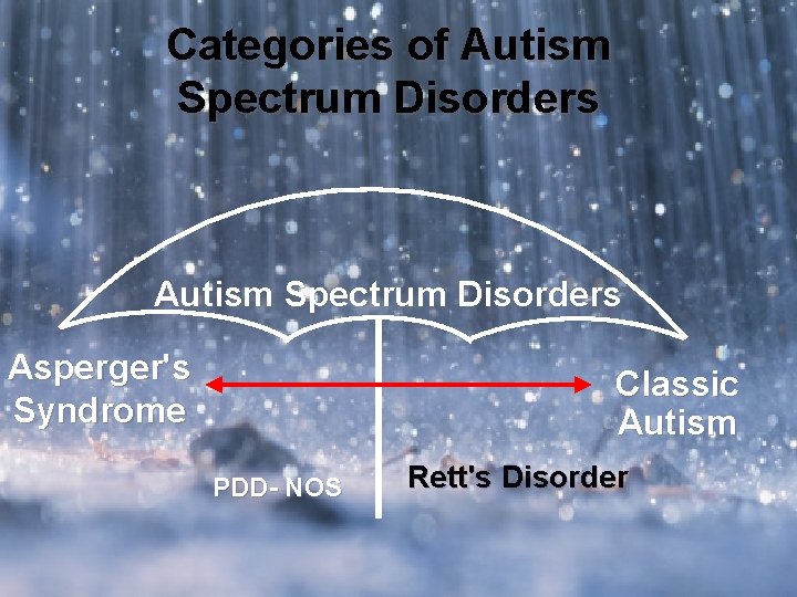 Categories of Autism Spectrum Disorders Asperger's Syndrome Classic Autism PDD- NOS Rett's Disorder 