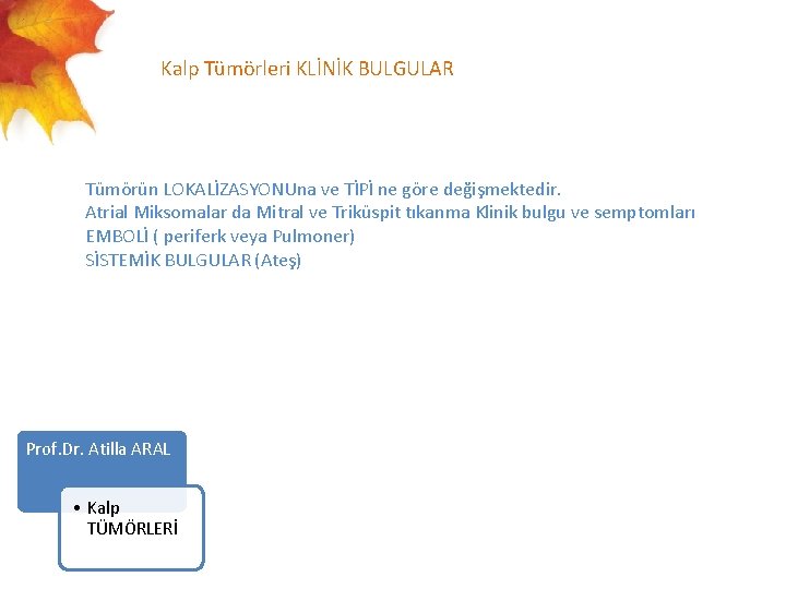  Kalp Tümörleri KLİNİK BULGULAR Tümörün LOKALİZASYONUna ve TİPİ ne göre değişmektedir. Atrial Miksomalar