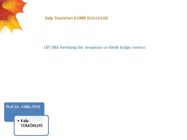  Kalp Tümörleri KLİNİK BULGULAR LİPOMA herhangi bir semptom ve klinik bulgu vermez Prof.