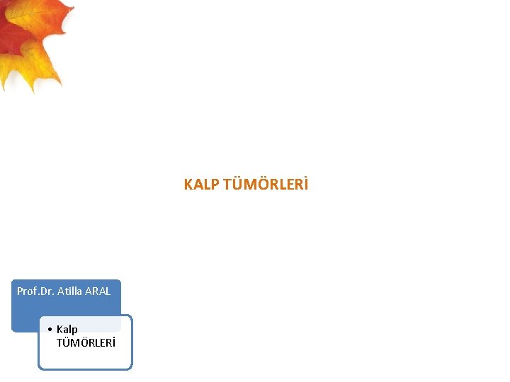  KALP TÜMÖRLERİ Prof. Dr. Atilla ARAL • Kalp TÜMÖRLERİ 