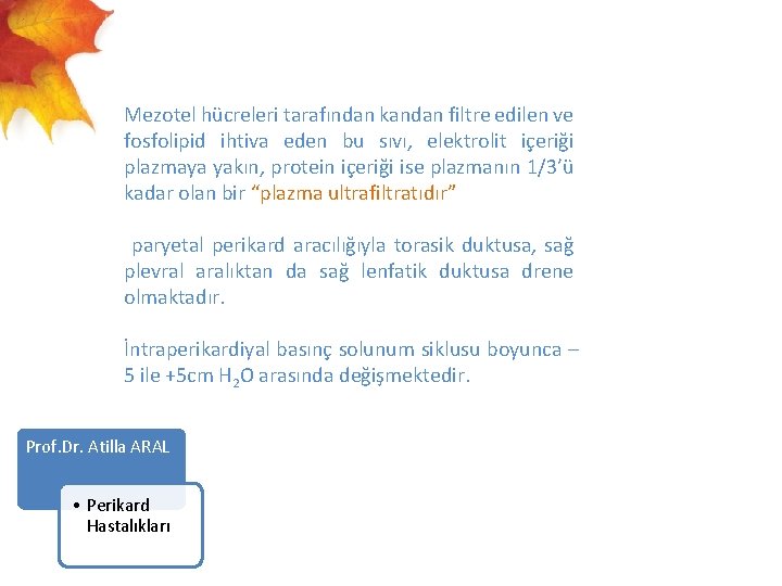  Mezotel hücreleri tarafından kandan filtre edilen ve fosfolipid ihtiva eden bu sıvı, elektrolit