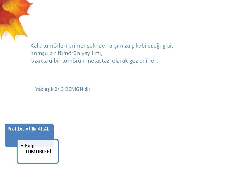  Kalp tümörleri primer şekilde karşımıza çıkabileceği gibi, Komşu bir tümörün yayılımı, Uzaktaki bir